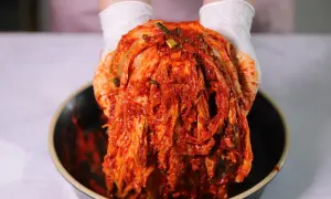 Ręce w białych rękawiczkach trzymają głowę kapusty pekińskiej pokrytą czerwoną pastą. To właśnie co to jest kimchi – tradycyjna koreańska kiszonka.